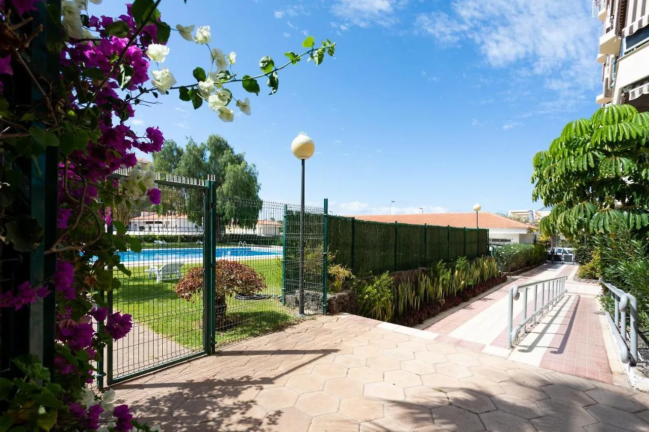 Home2Book Paradise Los Cristianos, Pool & Wifi アロナ 0*,